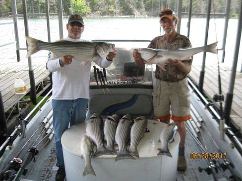 Nice Striped Bass